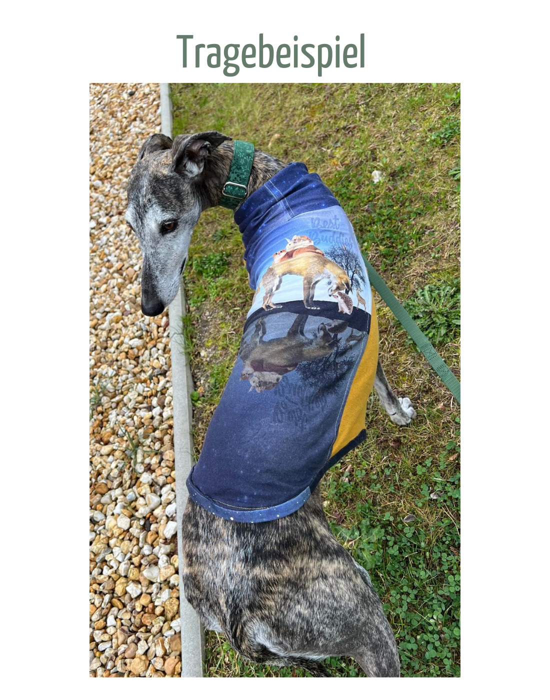 Handgenähtes Whippet-Shirt / Unikat