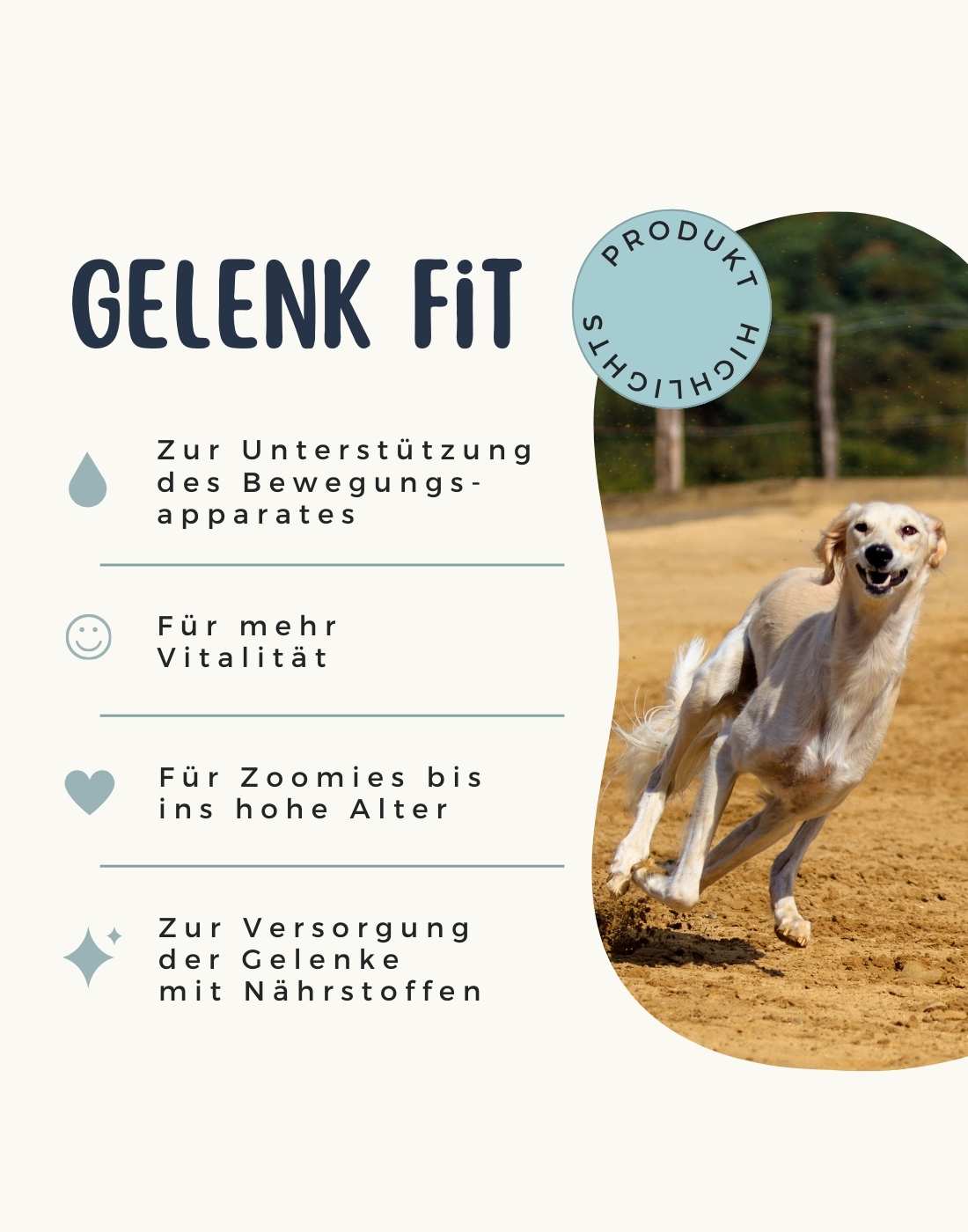 Gelenk Fit