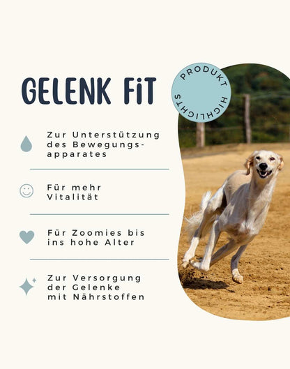 Gelenk Fit